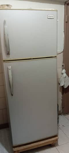 Apex Used Fridge (Refrigerator)
