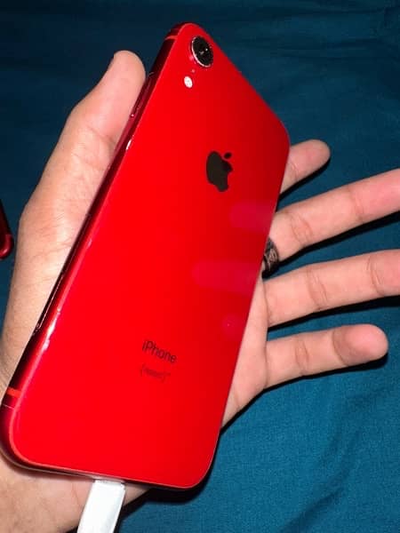 IPhone XR 64 GB 7