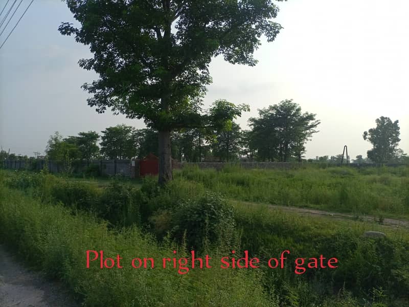 2 Kanal Semi Commercial Plot For Sale Front On KOti Nehar Road Haripur 2