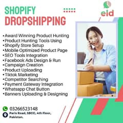 I will help you to create your Professional Dropshipping store