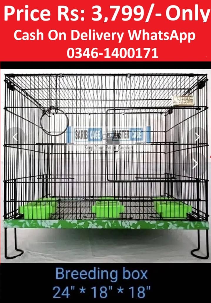 Bird Cage Pinjra Parrot Bajri Australian Tota Pahari Raw Green Cat Dog 9