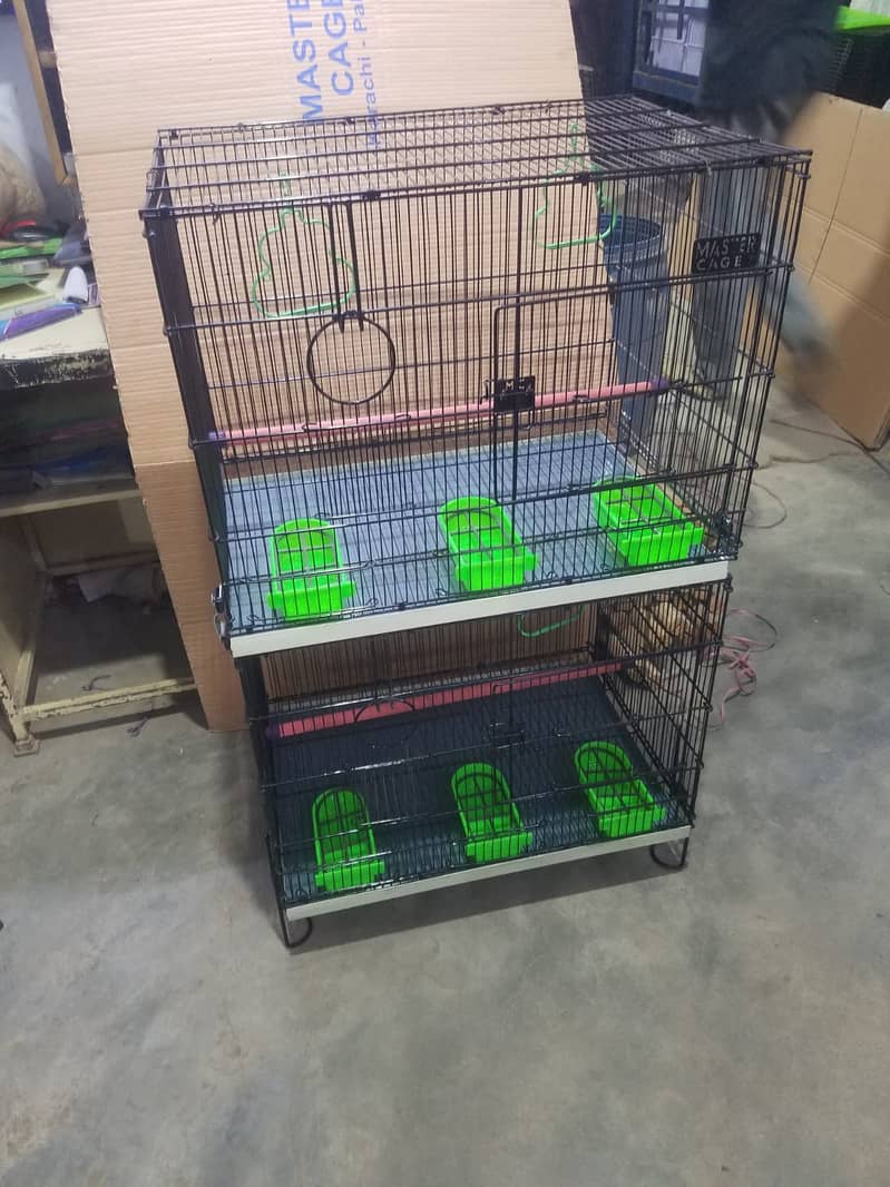 Bird Cage Pinjra Parrot Bajri Australian Tota Pahari Raw Green Cat Dog 15