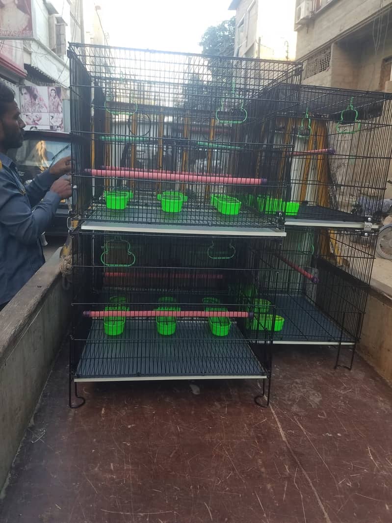 Bird Cage Pinjra Parrot Bajri Australian Tota Pahari Raw Green Cat Dog 16