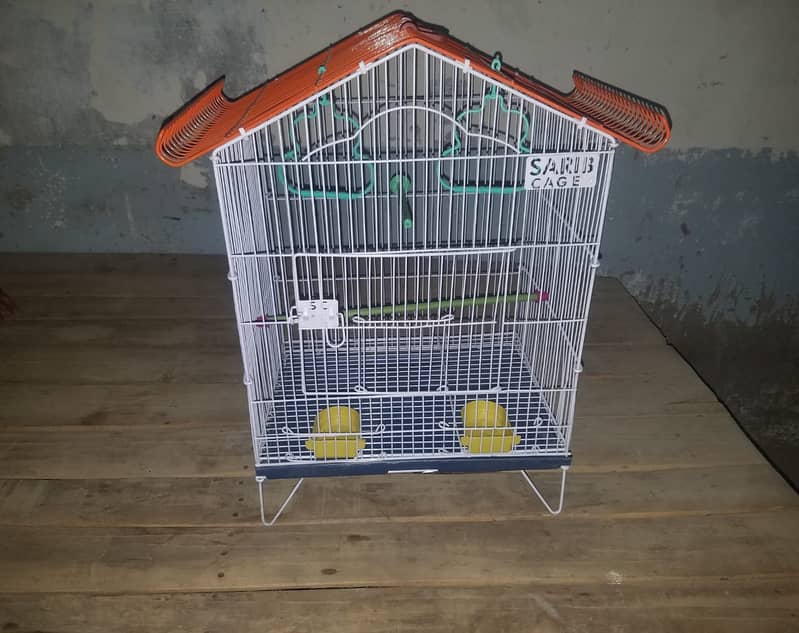 Bird Cage Pinjra Parrot Bajri Australian Tota Pahari Raw Green Cat Dog 18