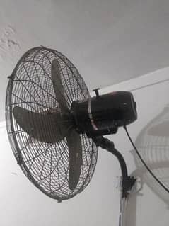 rado fan condition 10/10 ha only 2 month used huy Hain