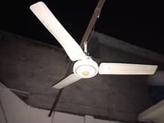 5 Ceiling Fans for Sale just like New