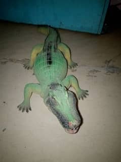 toy Crocodile