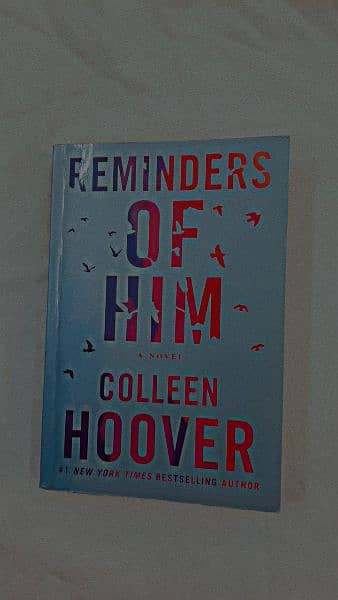 Reminders of him book 0