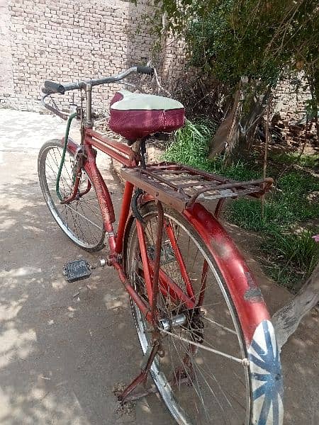 sohrab cycle 20 inches for sale 0