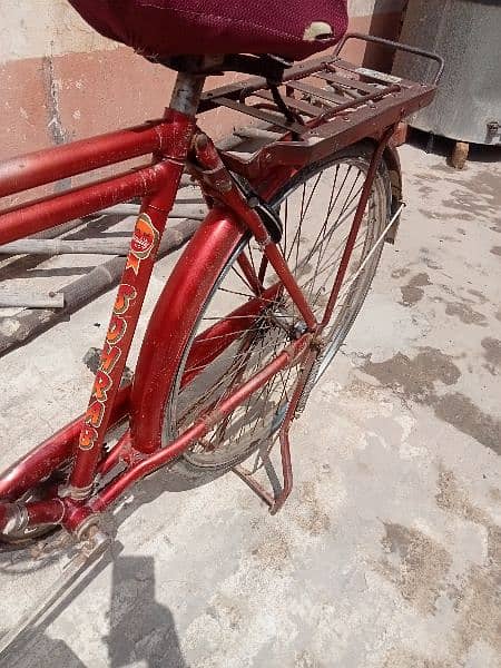 sohrab cycle 20 inches for sale 6