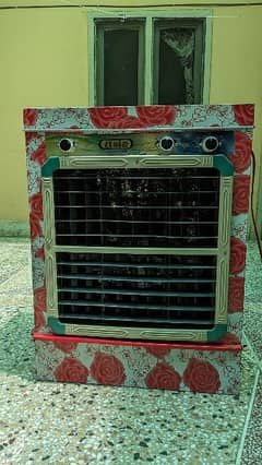 12 volt DC room cooler
