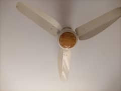 ceiling Fan