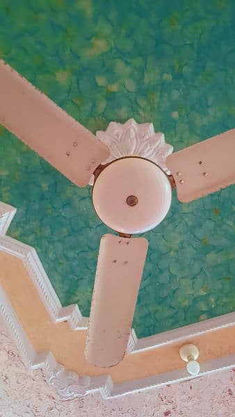 5 Royal ceiling fan 4