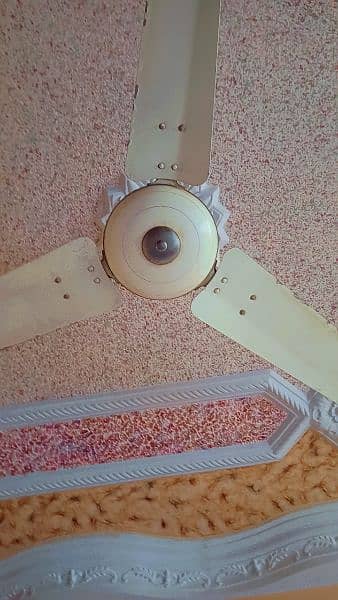 5 Royal ceiling fan 5