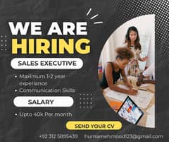 We Are Hiring Sales Executives for our Company