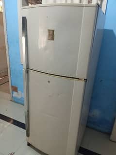 Dowlance fridge full size