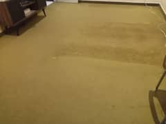 Big carpet for big room