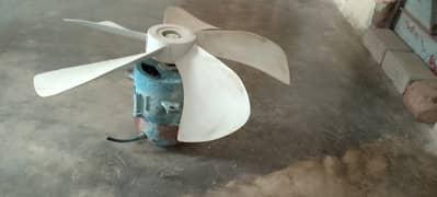 Air cooler motor with fan
