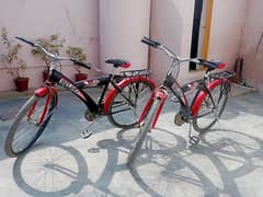 Pair of bicycle available