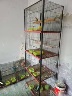 parrot cage for sale price see in description