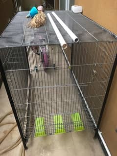 Cage (birds, animals) iron