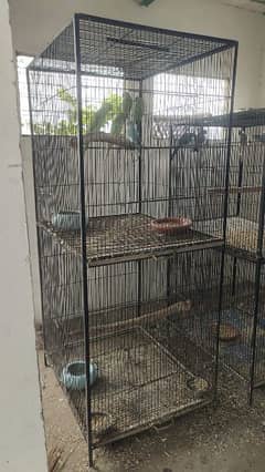 used iron cage for parrots