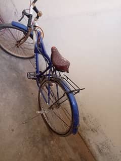New cycle forsale