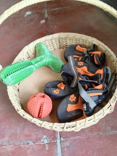 dog shoes and toys