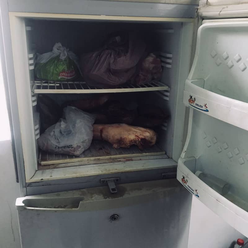 Fridge for Sale 3