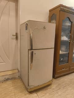 Pell Fridge/ Model-6200