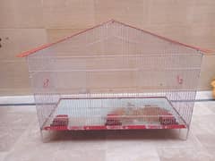 Cage for parrot