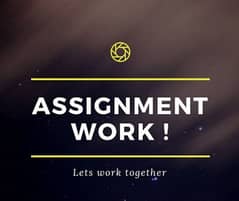 online assignment work