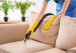 Branded sofa washing cleaning service