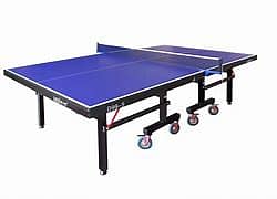Table Tennis Table with Net only