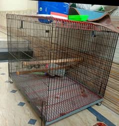 Cage for urgent sale 03010385511