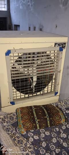 AC DC lohari cooler full king size