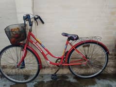 bicycle for sale in Peshawar cantt