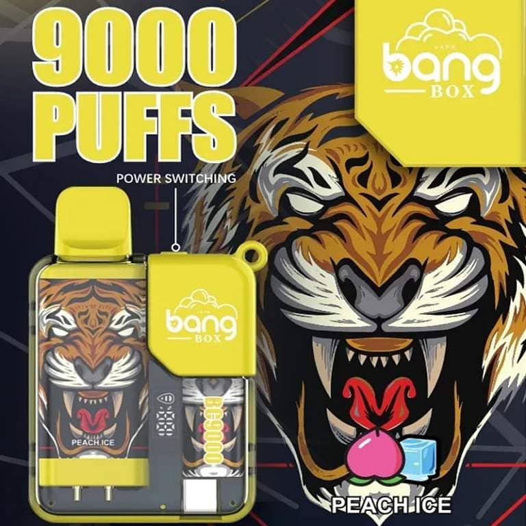 Disposable Vap Bang Box 9000 Puffs 5% Nicotin LED Power Display 0