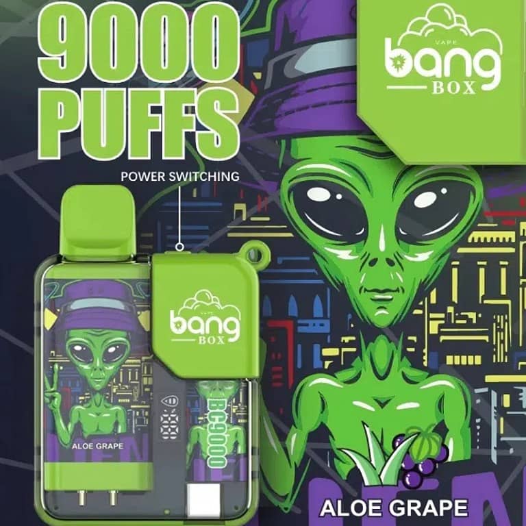 Bang Box 9000 Puffs 5% Nicotine LED Power Display Disposable 2