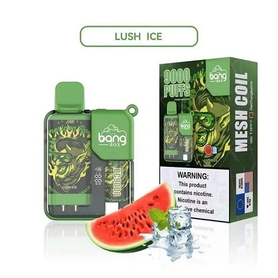 Bang Box 9000 Puffs 5% Nicotine LED Power Display Disposable 6