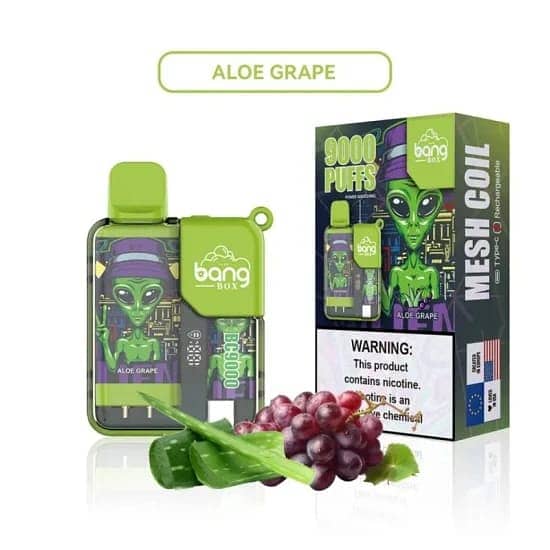 Bang Box 9000 Puffs 5% Nicotine LED Power Display Disposable 9