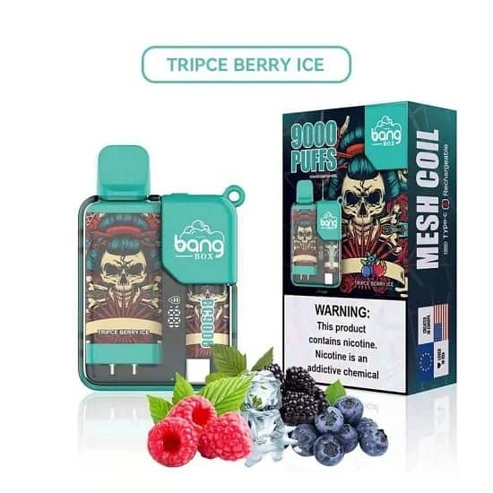 Bang Box 9000 Puffs 5% Nicotine LED Power Display Disposable 10