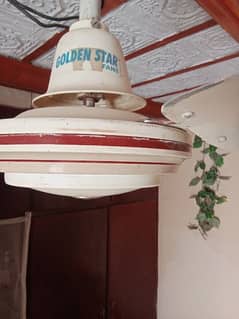 Ceiling fan for sale.