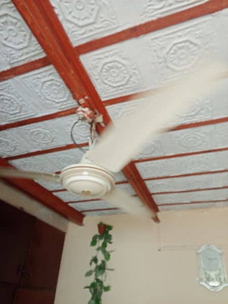 Ceiling fan for sale. 1