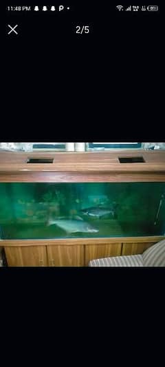 2 fishes with aquariam