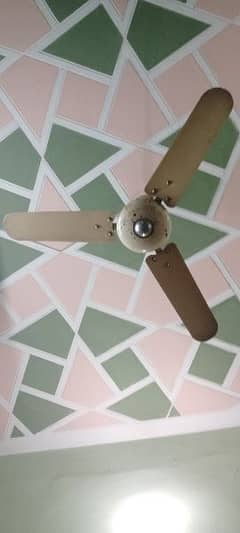 Ceiling Fans