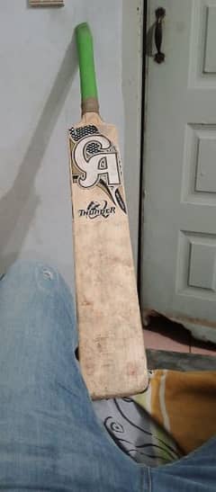 CA Hard ball bat