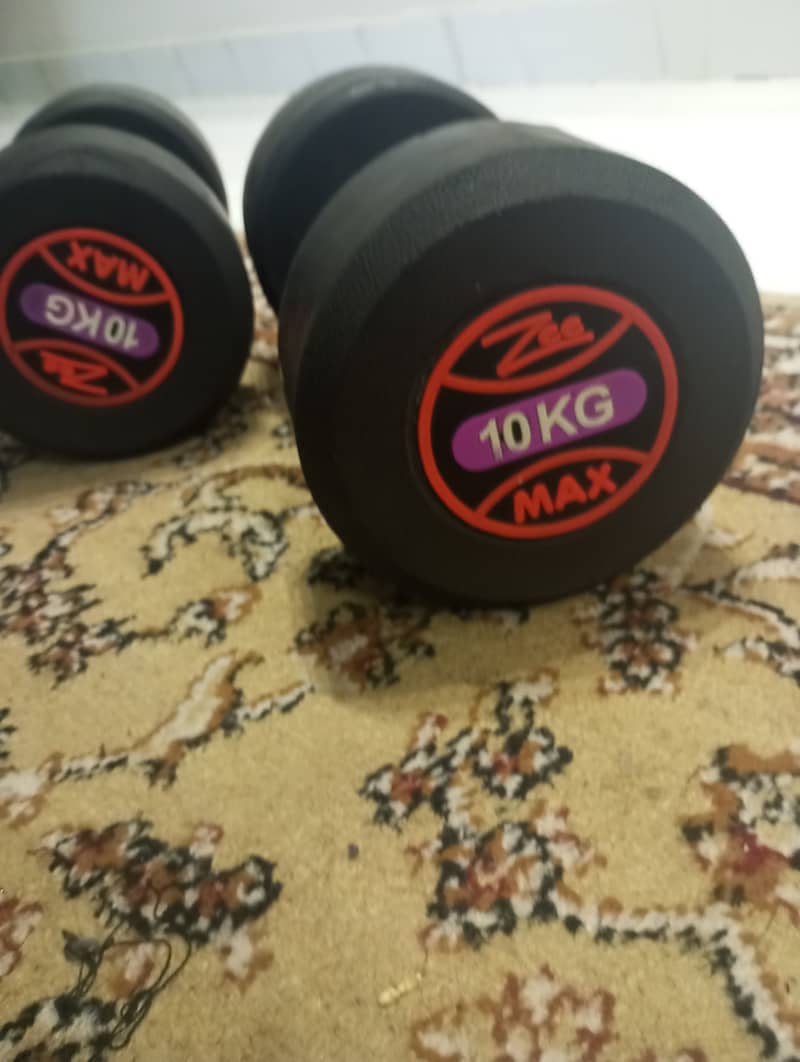 Rubber Coated Dumbbells 250 per kg 3