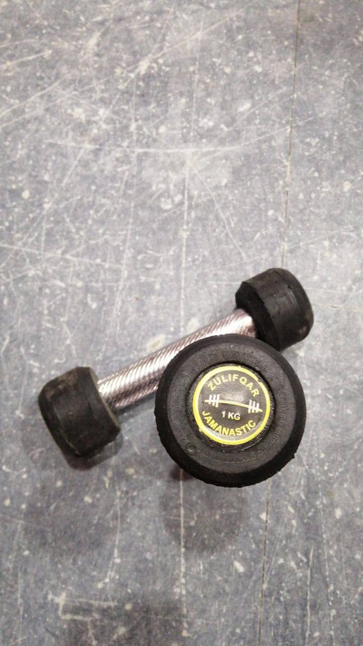 Rubber Coated Dumbbells 250 per kg 8