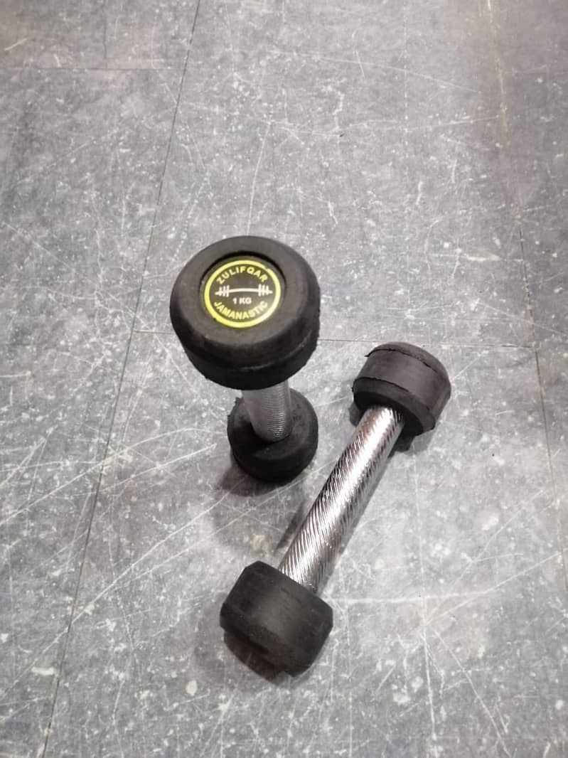 Rubber Coated Dumbbells 250 per kg 9